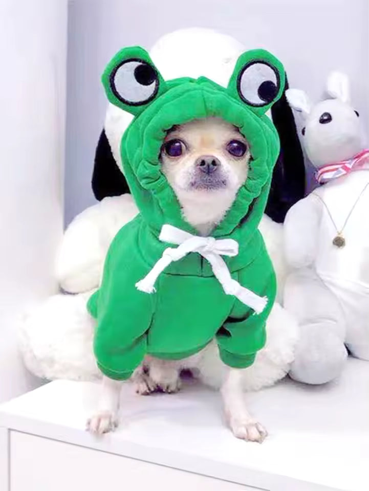 Roupa de Cachorro